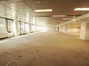 Oficina en Alquiler en Planta Libre