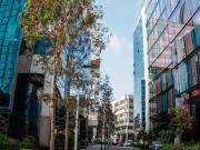 Oficina en alquiler en San Isidro a $2,310 al mes