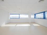 Oficina en alquiler en Sevilla, Sevilla