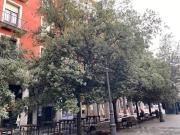 Oficina en alquiler en Valladolid, Centro