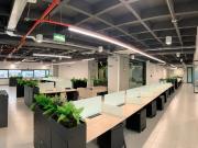 Oficina en arriendo, Manila, Poblado, Medellin