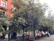 OFICINA EN CALLE FERRARI