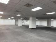 Oficina en RENTA Av. Ejército Nacional Mexicano, Miguel...