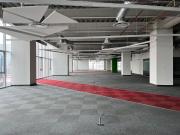 Oficina en Renta Carso Polanco Piso 8 3085 m2