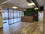 Oficina en renta Colonia Roma 865 m2