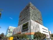 OFICINA EN RENTA DE 60 M2, EN TORRE PENINSULA, TIJUANA B.C