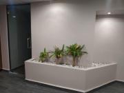 OFICINA EN RENTA EN ANZURES