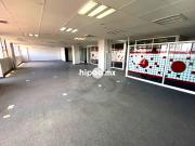 Oficina en renta en Anzures
