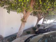 Oficina en renta en Ciudad Industrial, Torreón, Coahuila...