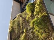 Oficina en renta en Colomos Providencia, Guadalajara,...