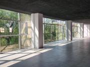 Oficina en Renta en colonia Anzures