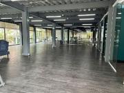 Oficina en Renta en Cuahutemoc Roma Norte m2o2871