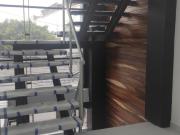 Oficina en renta en Florida, Álvaro Obregón, Ciudad de...