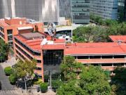 Oficina en renta en Granada, Miguel Hidalgo, Ciudad de...