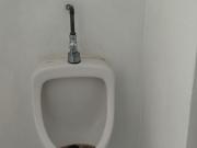 Oficina en renta en Insurgentes Chulavista, Puebla