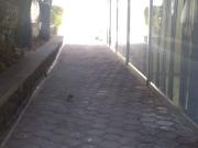 Oficina en renta en Insurgentes Chulavista, Puebla