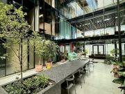 Oficina en renta en la Colonia Americana