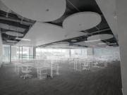 Oficina en Renta en Lomas de Chapultepec