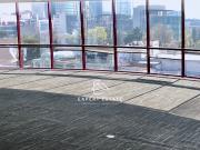 Oficina en renta en Lomas de Chapultepec I Sección,...