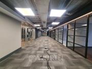 Oficina en renta en Lomas de Chapultepec, Miguel...