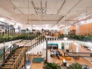 Oficina en renta en Lomas de Chapultepec, Miguel...