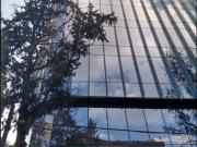 Oficina en renta en Nochebuena, Benito Juárez, Ciudad de...