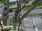 Oficina en renta en Polanco V Sección, Miguel Hidalgo,...