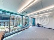 Oficina en renta en Reforma 8 personas Plug & Play...
