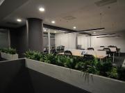 Oficina en renta en Residencial Santa Bárbara, San Pedro...