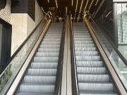 Oficina en renta en Roma Norte, Cuauhtémoc, Ciudad de México