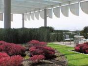 Oficina en renta en Tizapan, Álvaro Obregón, Ciudad de...