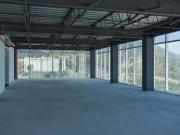 Oficina en renta en Torre Corporativa en zona Dinastía,...