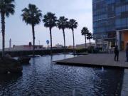 Oficina en renta en Villas del Lago, Cuernavaca, Morelos