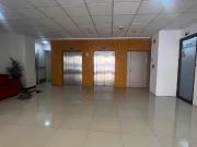 OFICINA EN RENTA O VENTA, EDIFICIO EN VALLE ALTO, LA...