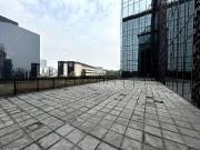 Oficina en Renta Polanco Piso 1 735 m2