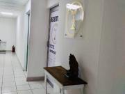 OFICINA EN RENTA ZONA TABASCO 2000