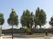 Oficina en venta en Sevilla, CALLE ARQUITECTURA