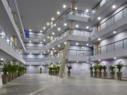 Oficina en venta y arriendo en Cartagena de Indias Bosque