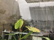 Oficina, Foners, Palma de Mallorca