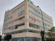 Oficina, La Minilla, Las Palmas de Gran Canaria