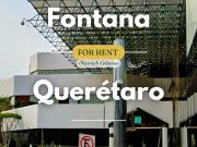 Oficina Mercurio