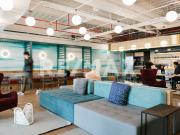 Oficina petfriendly en renta en Boulevard Miguel de...