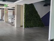 Oficina Plug&Play en renta de 674 m2 en Colonia Roma Sur Oficina Plug&Play en renta de 674 m2 en Colonia Roma Sur