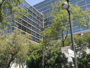 Oficina Polanco I Sección