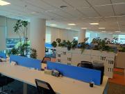 Oficina Premium en Alquiler. Edificio Proa, Vicente Lopez