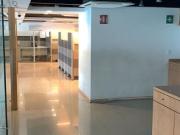 Oficina Renta Insurgentes 481m2 Piso 1