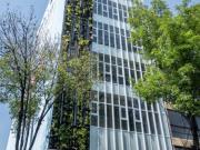 Oficina renta Monterrey, Roma Sur