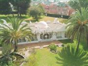 Oficina, Reserva de Marbella, Marbella