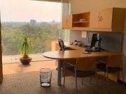 OFICINAS $35 US. M2 EN POLANCO III SECC. TORRE OMEGA....