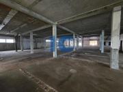 Oficinas Aveiro Ílhavo 3830 DS100380475